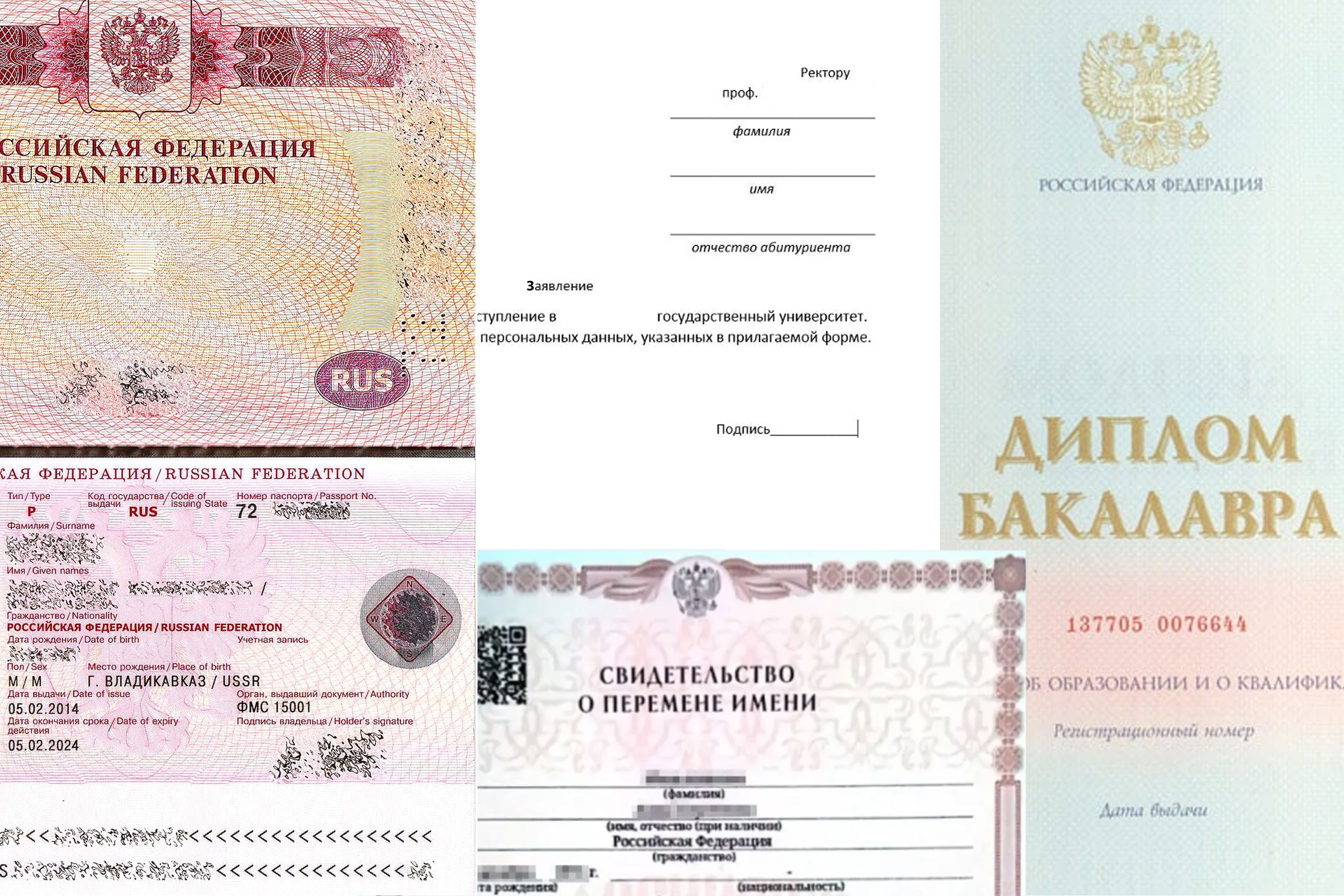 документы маг
